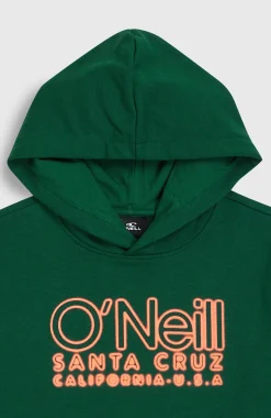 Enfant O'Neill Protection Anti-Uv|Sweats & Pulls-EnfantsSweat à capuche Essentials| Vert
