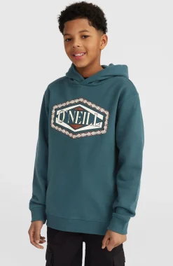 Enfant O'Neill Protection Anti-Uv|Sweats & Pulls-EnfantsSweat à capuche Front Print| Bleu