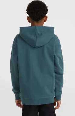 Enfant O'Neill Protection Anti-Uv|Sweats & Pulls-EnfantsSweat à capuche Front Print| Bleu