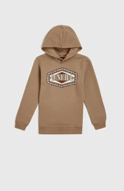 Enfant O'Neill Protection Anti-Uv|Sweats & Pulls-EnfantsSweat à capuche Front Print| Brun