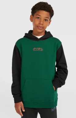 Enfant O'Neill Protection Anti-Uv|Sweats & Pulls-EnfantsSweat à capuche FWC'Play| Vert Mix