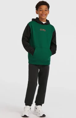 Enfant O'Neill Protection Anti-Uv|Sweats & Pulls-EnfantsSweat à capuche FWC'Play| Vert Mix