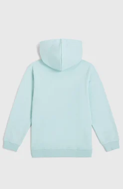 Enfant O'Neill Protection Anti-Uv|Sweats & Pulls-EnfantsSweat à capuche Logo| Bleu