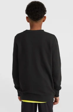 Enfant O'Neill Protection Anti-Uv|Sweats & Pulls-EnfantsSweatshirt à col rond Logo| Noire
