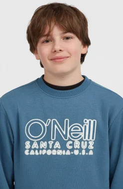 Enfant O'Neill Protection Anti-Uv|Sweats & Pulls-EnfantsSweatshirt à col rond Essentials| Bleu