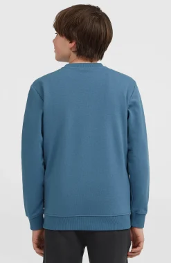 Enfant O'Neill Protection Anti-Uv|Sweats & Pulls-EnfantsSweatshirt à col rond Essentials| Bleu