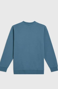 Enfant O'Neill Protection Anti-Uv|Sweats & Pulls-EnfantsSweatshirt à col rond Essentials| Bleu