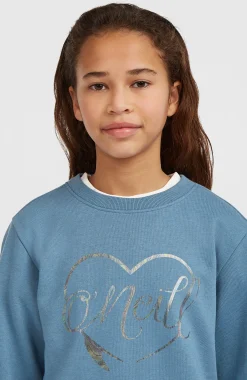 Enfant O'Neill Protection Anti-Uv|Sweats & Pulls-EnfantsSweatshirt à col rond Essentials| Bleu