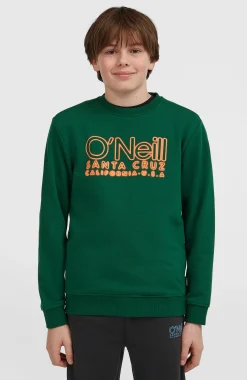 Enfant O'Neill Protection Anti-Uv|Sweats & Pulls-EnfantsSweatshirt à col rond Essentials| Vert