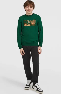 Enfant O'Neill Protection Anti-Uv|Sweats & Pulls-EnfantsSweatshirt à col rond Essentials| Vert