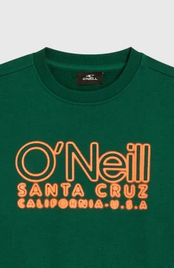 Enfant O'Neill Protection Anti-Uv|Sweats & Pulls-EnfantsSweatshirt à col rond Essentials| Vert