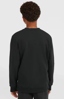 Enfant O'Neill Protection Anti-Uv|Sweats & Pulls-EnfantsSweatshirt à col rond Essentials| Noire