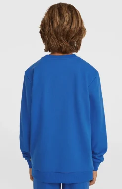 Enfant O'Neill Protection Anti-Uv|Sweats & Pulls-EnfantsSweatshirt Cali Crew| Bleu