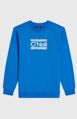 Enfant O'Neill Protection Anti-Uv|Sweats & Pulls-EnfantsSweatshirt Cali Crew| Bleu