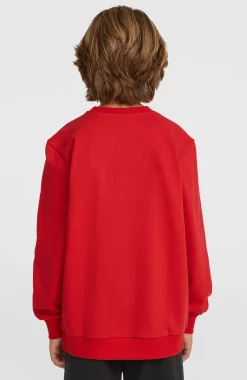 Enfant O'Neill Protection Anti-Uv|Sweats & Pulls-EnfantsSweatshirt Cali Crew| Rouge