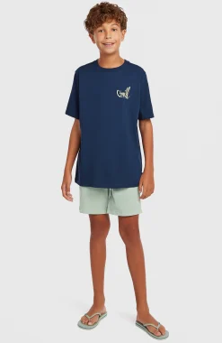 Enfant O'Neill Protection Anti-Uv|T-Shirts-EnfantsT-shirt Chest-Print| Bleu