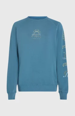 Femme O'Neill Sweats & Pulls|Protection Anti-Uv-FemmesSweatshirt Beach Vintage Crew| Bleu
