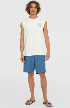 Homme O'Neill T-Shirts|Protection Anti-Uv-HommesDébardeur Graphic| Blanc