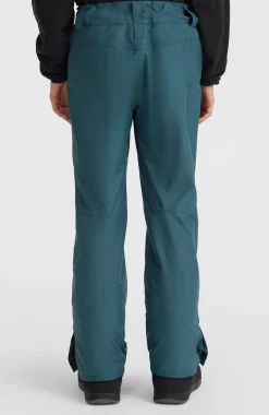 Homme O'Neill Pantalons De Ski|Pantalons De Snowboard-HommesPantalon de ski Hammer Regular| Bleu