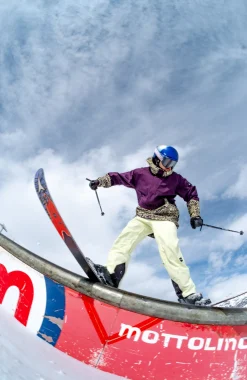 Homme O'Neill Pantalons De Ski|Pantalons De Snowboard-HommesPantalon de ski O'Riginals Park Loose| Vert