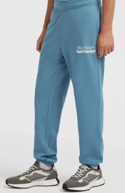Homme O'Neill Pantalons|Protection Anti-Uv-HommesPantalon de survêtement Future Surf Society| Bleu