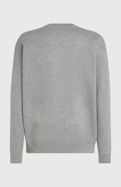 Homme O'Neill Sweats & Pulls|Protection Anti-Uv-HommesPull Future Surf Society Crew| Gris