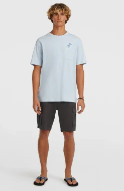 Homme O'Neill Shorts|Protection Anti-Uv-HommesShort cargo Essentials| Gris
