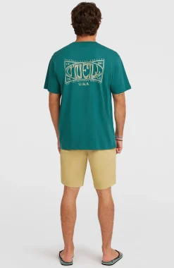 Homme O'Neill Shorts|Protection Anti-Uv-HommesShort chino Essentials| Beige