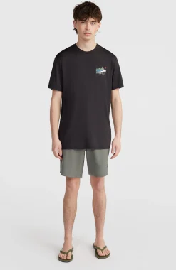 Homme O'Neill Shorts|Shorts Hybrid-HommesShort chino Hybrid| Vert