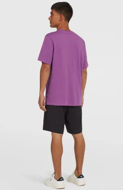 Homme O'Neill Shorts|Shorts Hybrid-HommesShort chino Hybrid 19| Noire