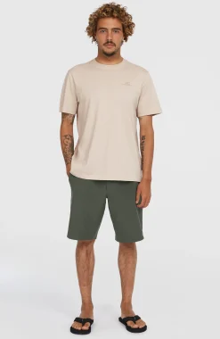 Homme O'Neill Shorts|Shorts Hybrid-HommesShort chino Hybrid 19| Gris