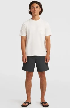 Homme O'Neill Shorts De Bain|Protection Anti-Uv-HommesShort de bain Cali 16''| Gris
