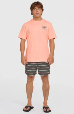 Homme O'Neill Shorts De Bain|Protection Anti-Uv-HommesShort de bain Cali First 15''| Gris
