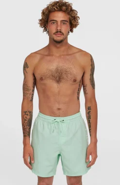 Homme O'Neill Shorts De Bain|Protection Anti-Uv-HommesShort de bain Cali 16''| Vert