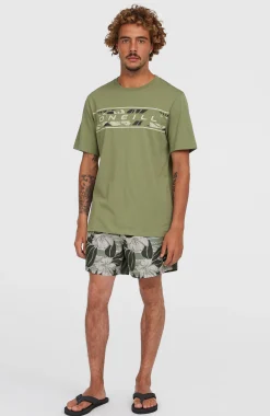 Homme O'Neill Shorts De Bain|Protection Anti-Uv-HommesShort de bain Cali Block15''| Vert
