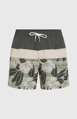 Homme O'Neill Shorts De Bain|Protection Anti-Uv-HommesShort de bain Cali Block15''| Vert