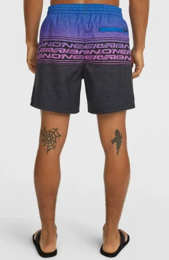 Homme O'Neill Shorts De Bain|Protection Anti-Uv-HommesShort de bain Logo Stripe 16''| Bleu Mix