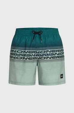 Homme O'Neill Shorts De Bain|Protection Anti-Uv-HommesShort de bain Logo Stripe 16''|