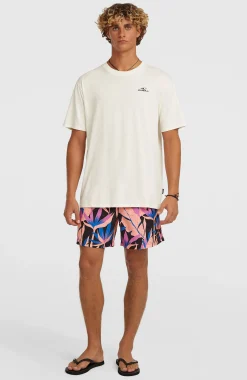 Homme O'Neill Shorts De Bain|Protection Anti-Uv-HommesShort de bain Print 16| Noire