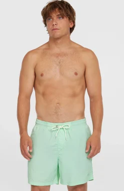 Homme O'Neill Shorts De Bain|Protection Anti-Uv-HommesShort de bain Vert 16''| Vert