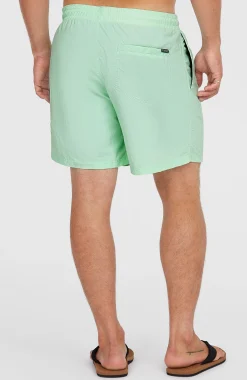 Homme O'Neill Shorts De Bain|Protection Anti-Uv-HommesShort de bain Vert 16''| Vert