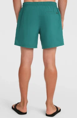 Homme O'Neill Shorts De Bain|Protection Anti-Uv-HommesShort de bain Logo 16''| Vert