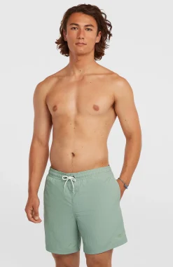 Homme O'Neill Shorts De Bain|Protection Anti-Uv-HommesShort de bain Vert 16''| Vert
