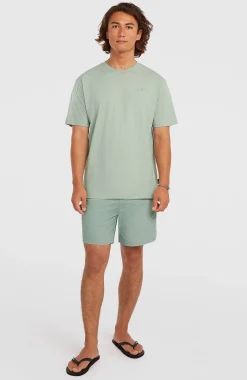 Homme O'Neill Shorts De Bain|Protection Anti-Uv-HommesShort de bain Vert 16''| Vert