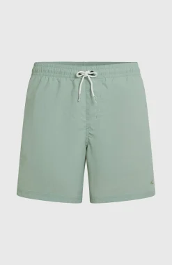 Homme O'Neill Shorts De Bain|Protection Anti-Uv-HommesShort de bain Vert 16''| Vert