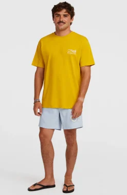 Homme O'Neill Shorts De Bain|Protection Anti-Uv-HommesShort de bain Cali 16''| Bleu