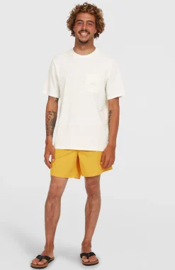 Homme O'Neill Shorts De Bain|Protection Anti-Uv-HommesShort de bain Vert 16''| Jaune