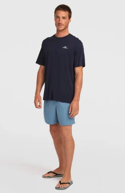 Homme O'Neill Shorts De Bain|Protection Anti-Uv-HommesShort de bain Vert 16''| Bleu