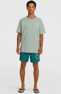 Homme O'Neill Shorts De Bain|Protection Anti-Uv-HommesShort de bain Cali 16''| Vert