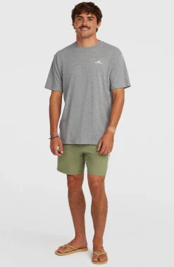 Homme O'Neill Shorts De Bain|Protection Anti-Uv-HommesShort de bain Logo 16''| Vert